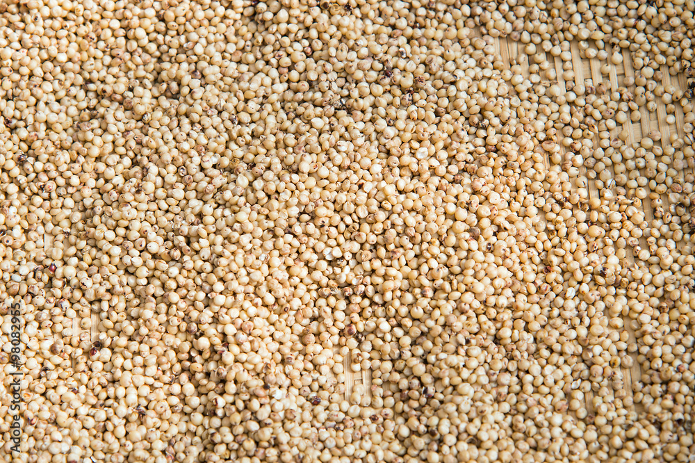 chinese sorghum