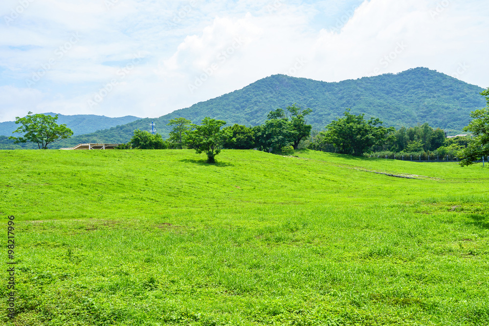 云端天际线和山前草地