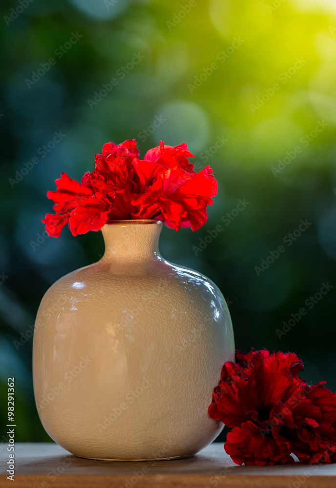 土制红芙蓉花，天然绿色