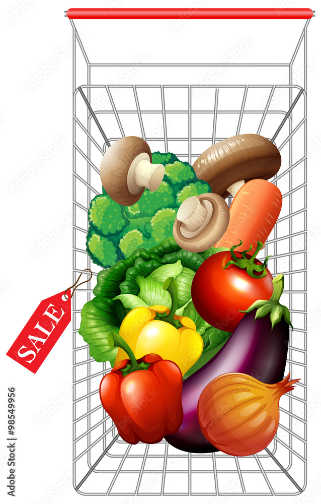 Various kind of vegetables in shopping cart