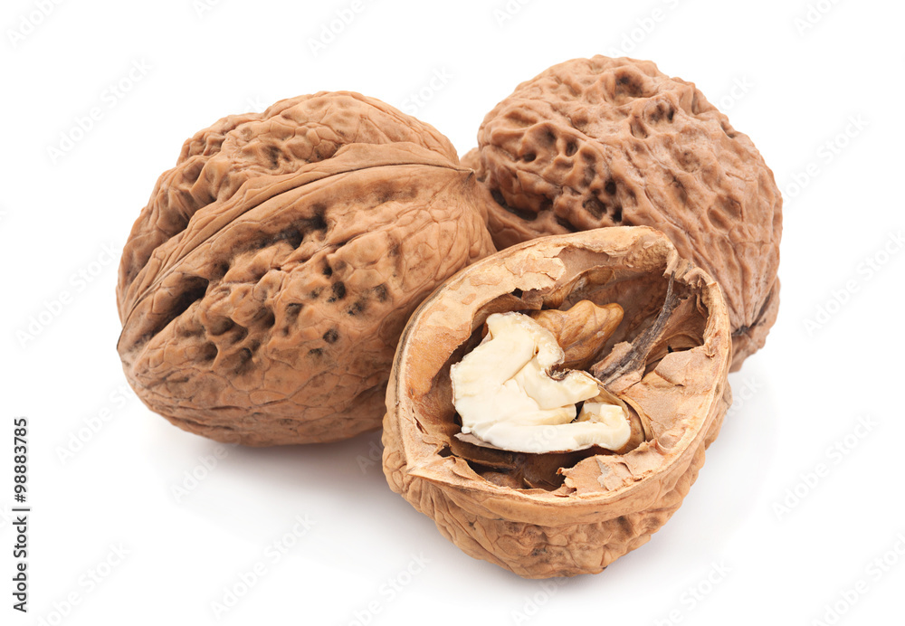 Walnut fruit on white