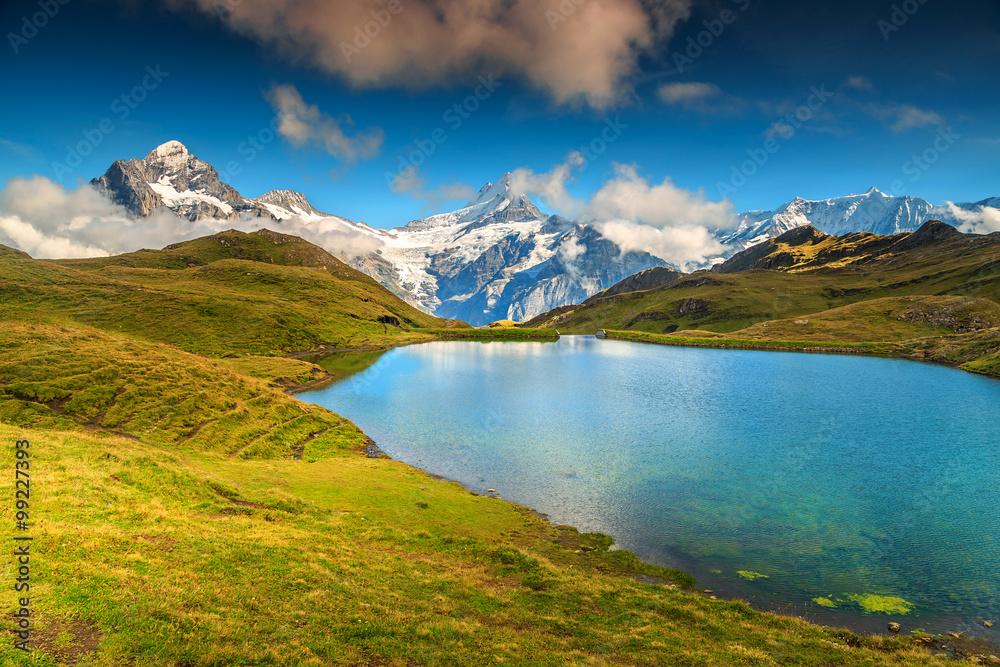 美丽的高山湖泊Bachalpsee，Grindelwald，瑞士，欧洲