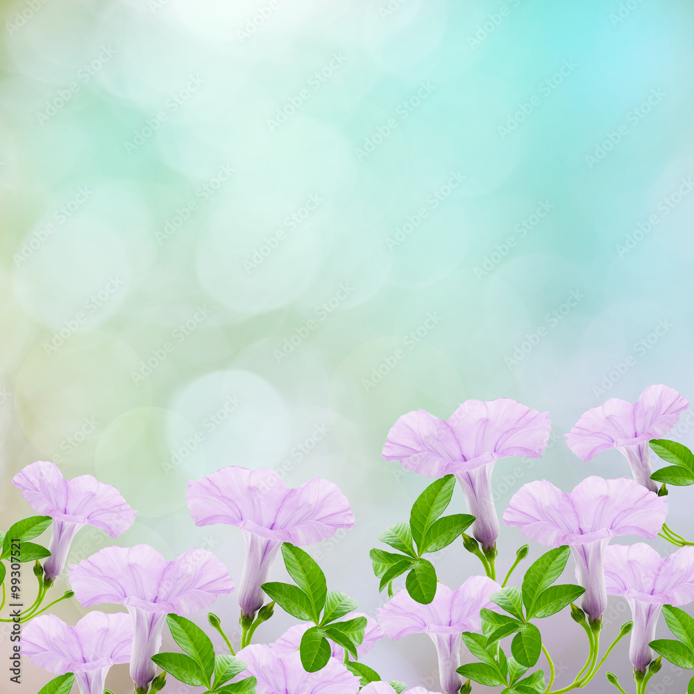 Beautiful Purple flower and leaves frame isolated on nature back