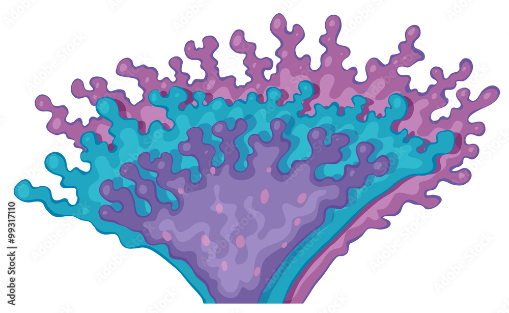 紫色珊瑚