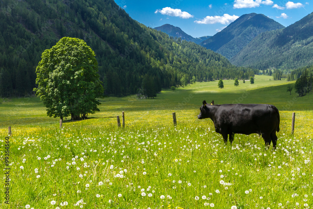 Alpental im Sommer