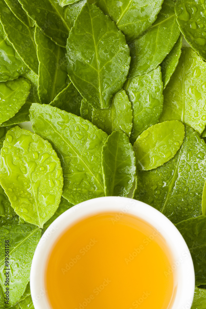 Tea and green leaves