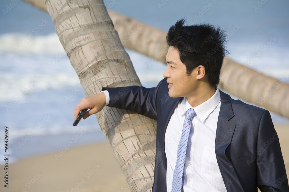 Businessman with his mobile phone on the beach