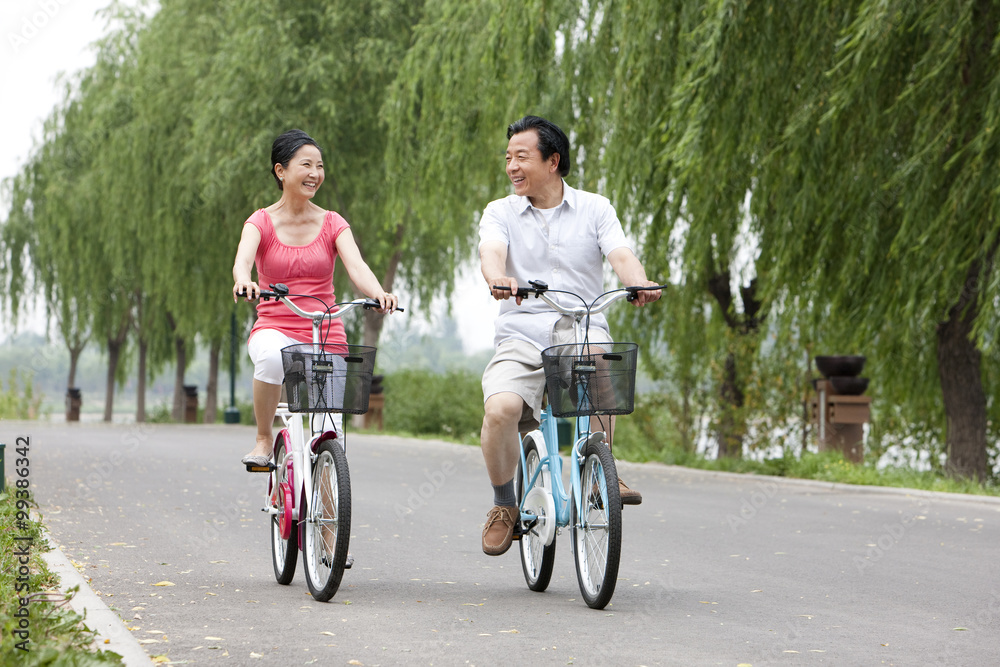 老年夫妇在公园里骑自行车