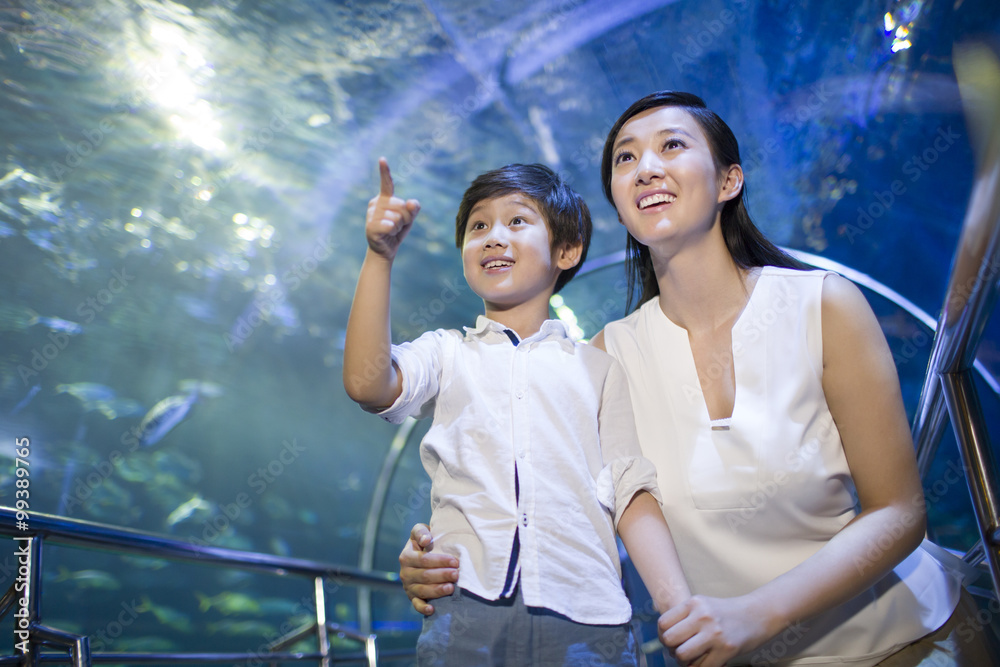 水族馆里的年轻母子