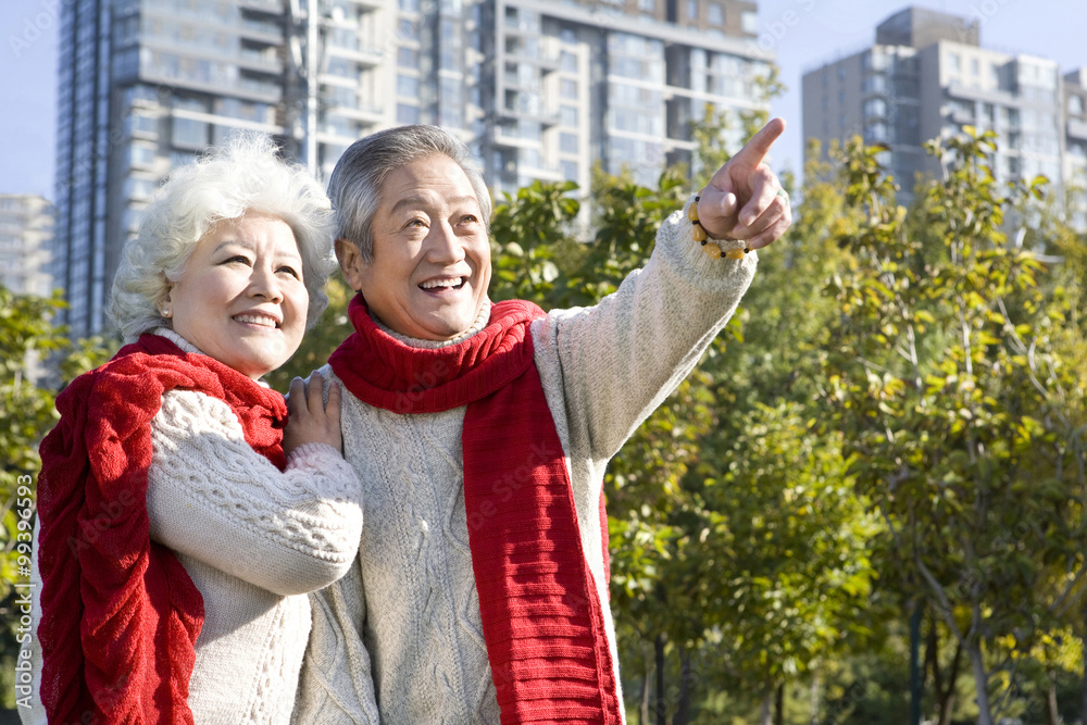 老年夫妇一起享受公园