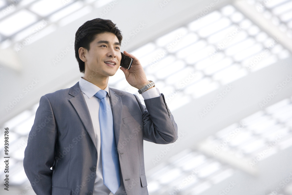 Businessman on phone