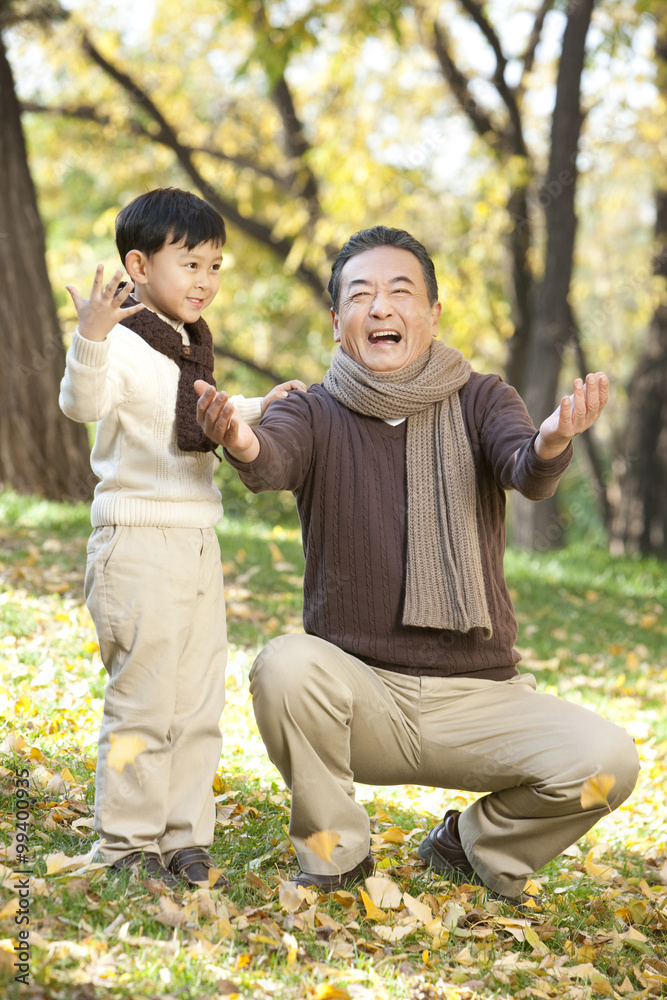 Boy with grandfather watching leaves fall