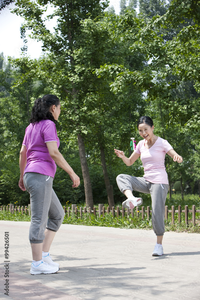 Seniors playing shuttlecock in park