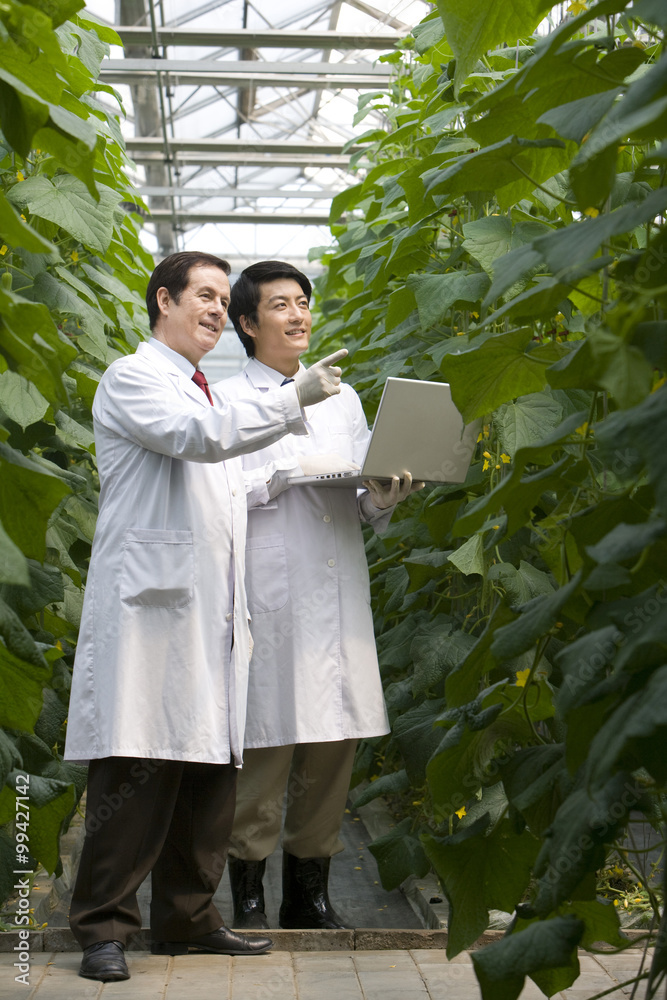 Scientists doing research in modern farm