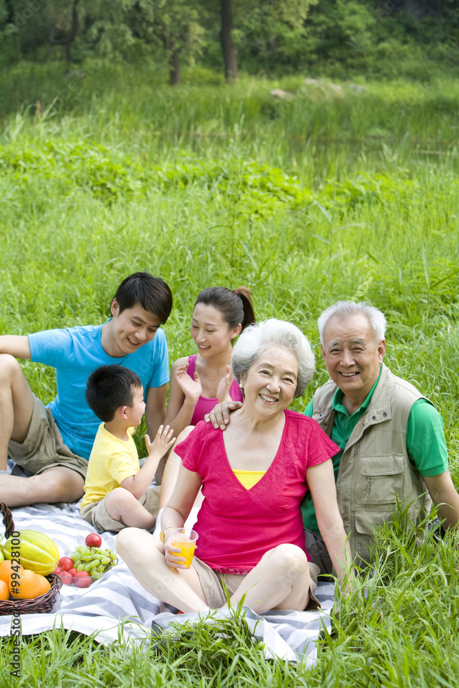 Portrait of a family picnicking