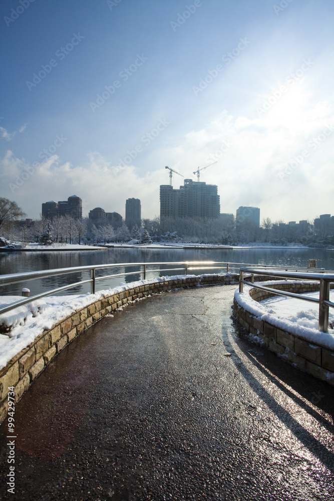 Park in winter snow