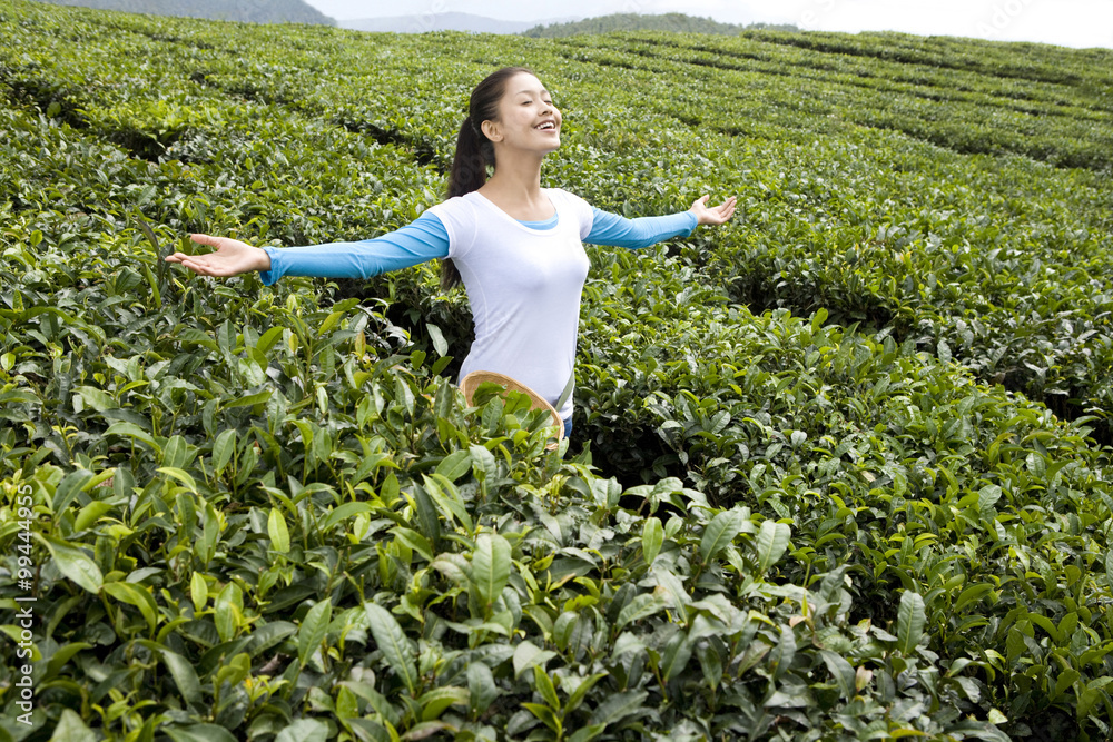 茶园里的年轻女人