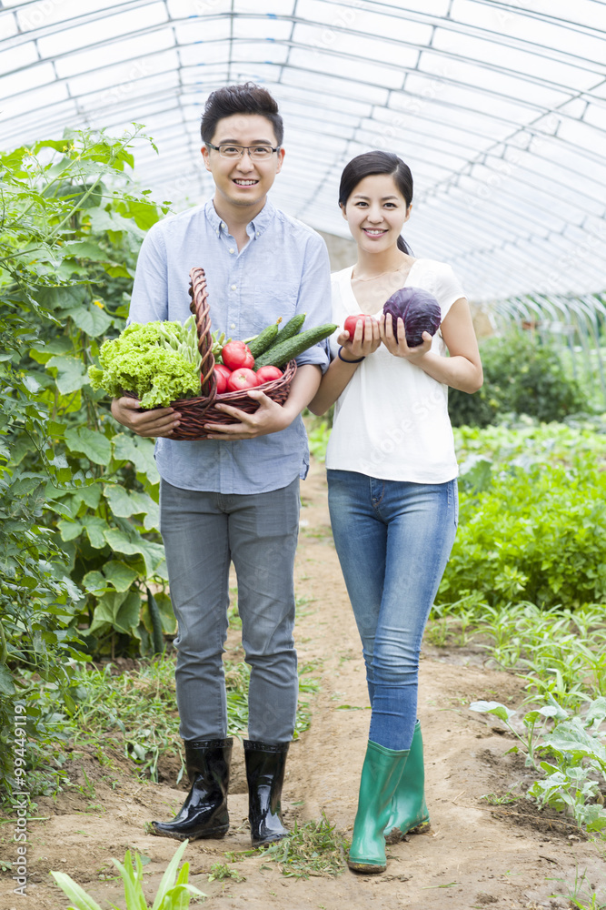 年轻夫妇在温室里摘蔬菜