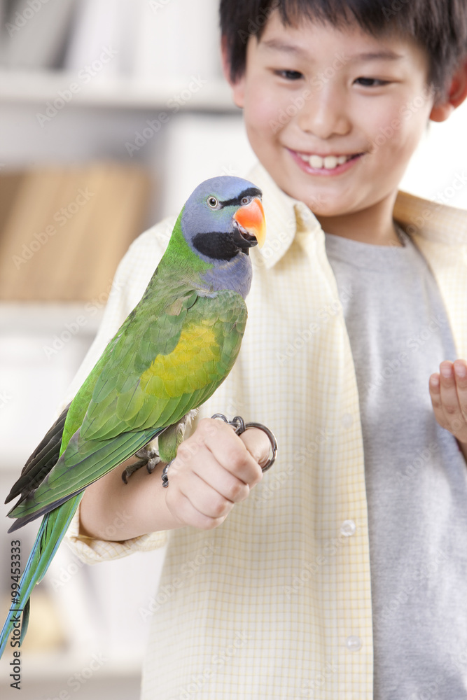 Little boy playing with a pet parrot