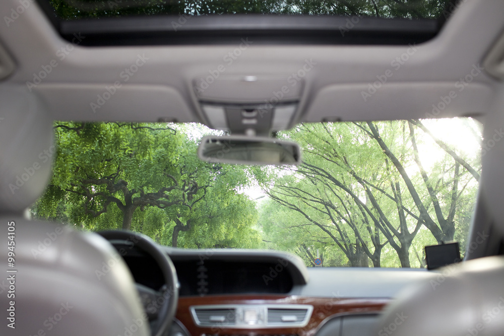 Car interior