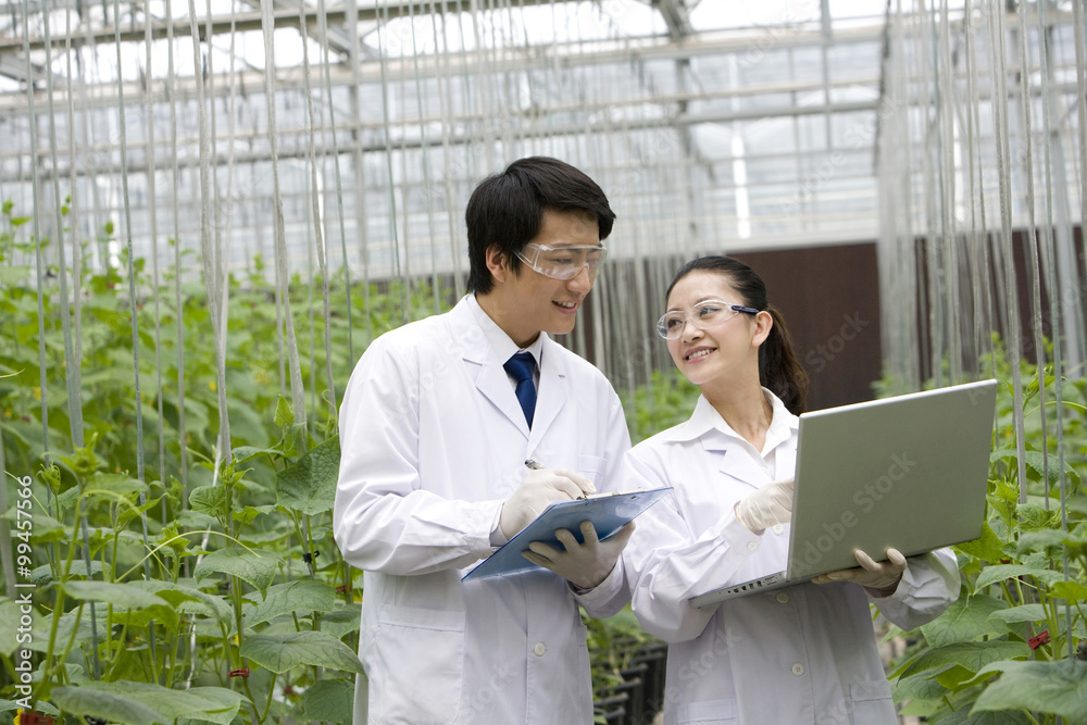 Scientists doing research in modern farm