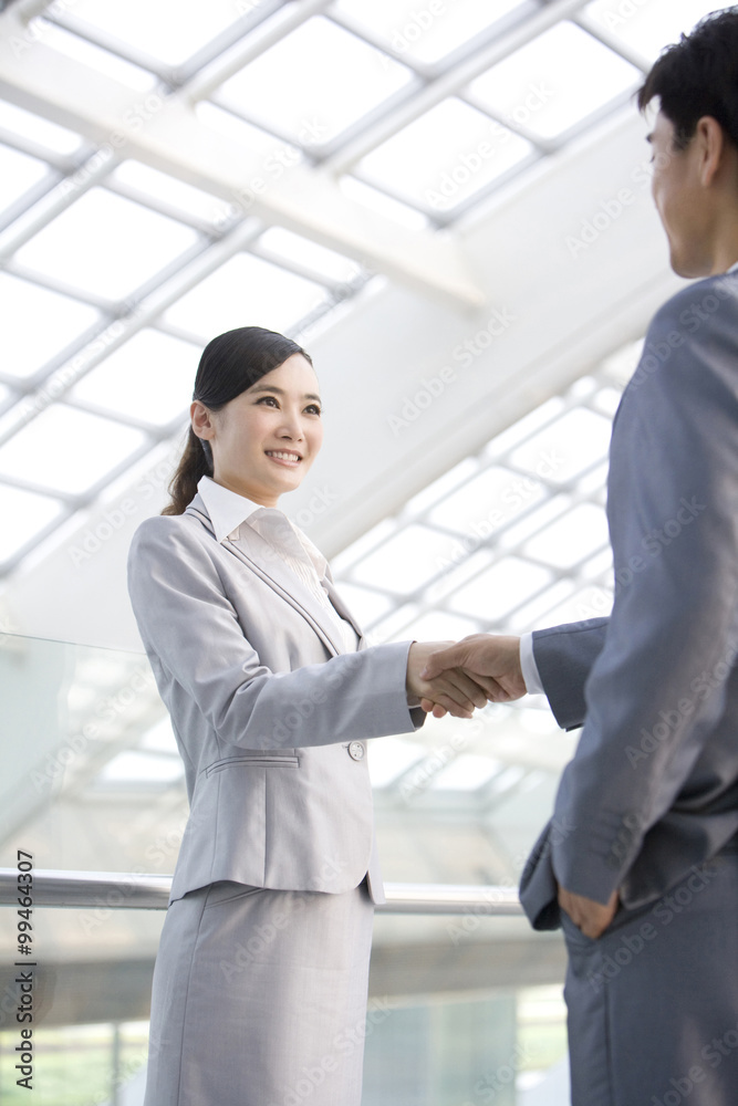 Business partners shaking hands