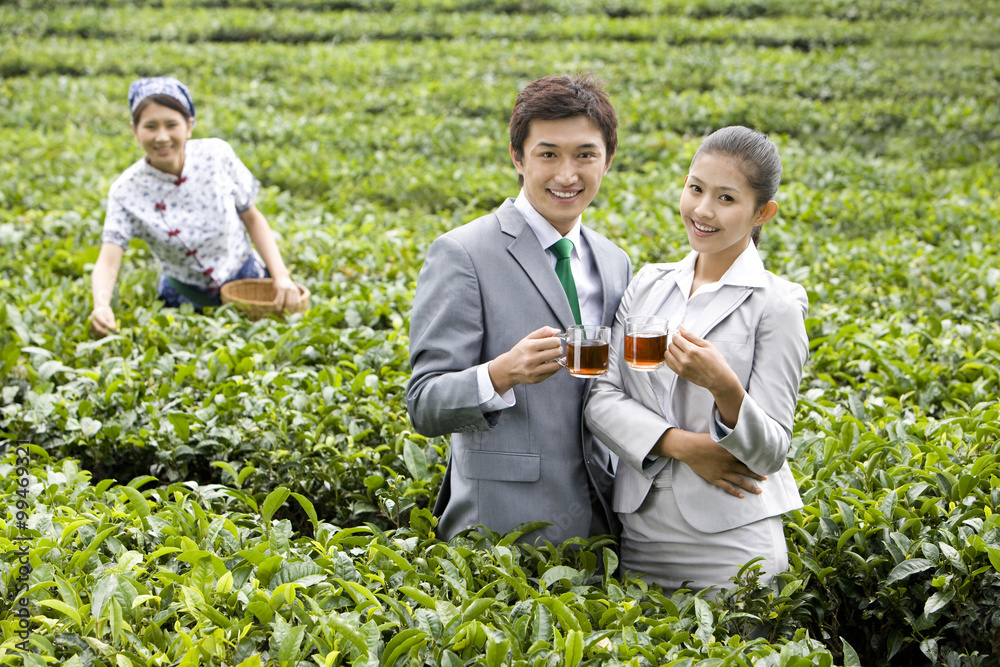 两位年轻的茶商与采茶的年轻女人