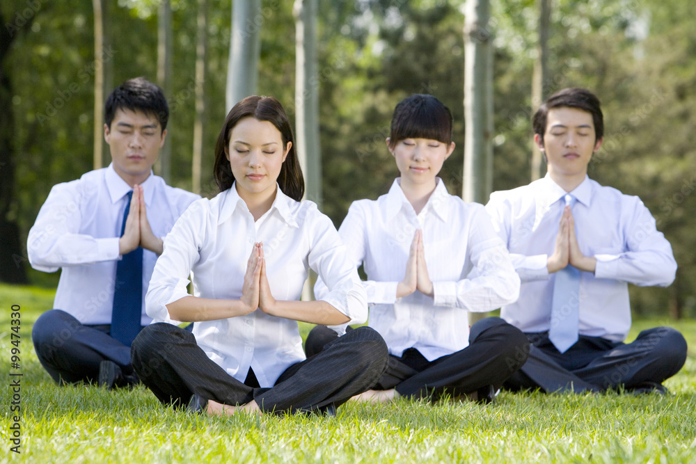 Business professionals in park, mediating