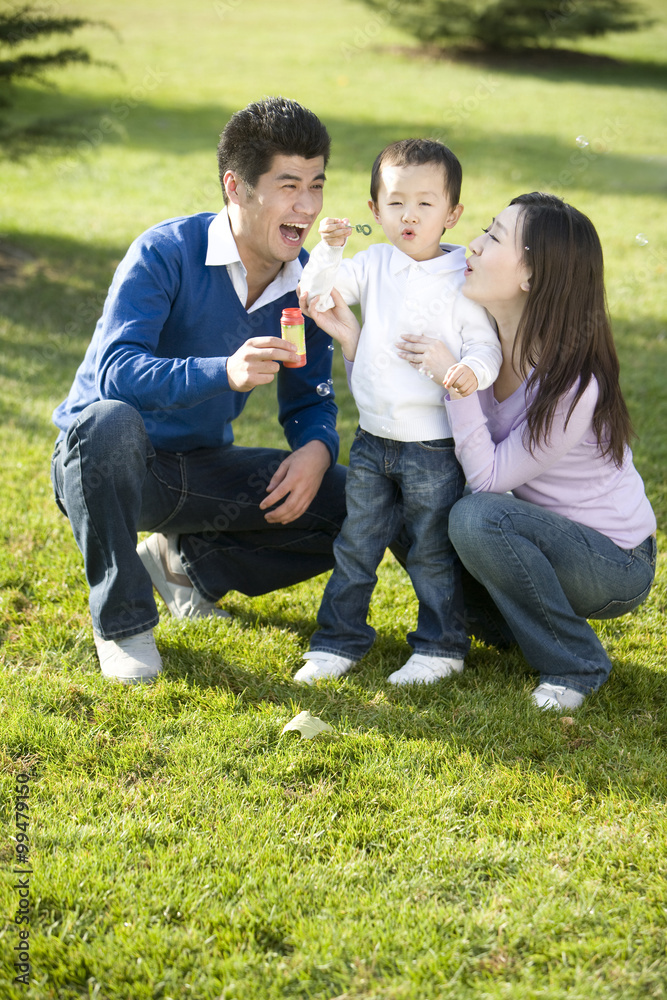 Portrait of young family at the park