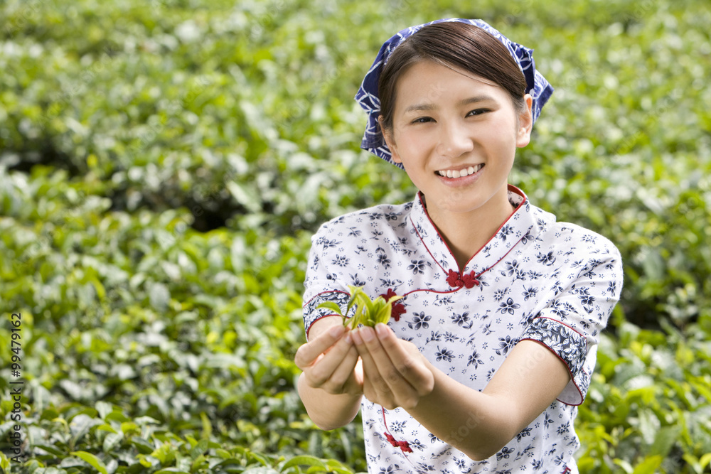 茶园里拿着新鲜茶叶的年轻女人