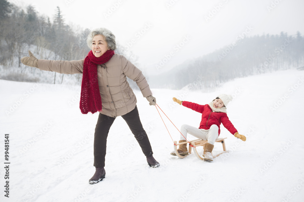 祖母在雪橇上拉孙女