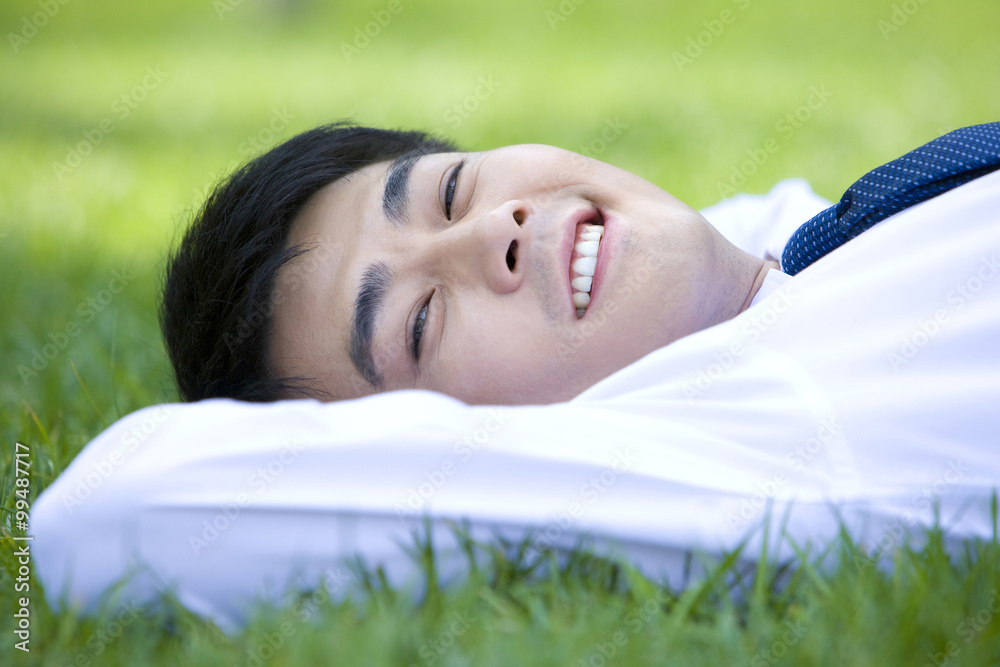 Businessman in the grass