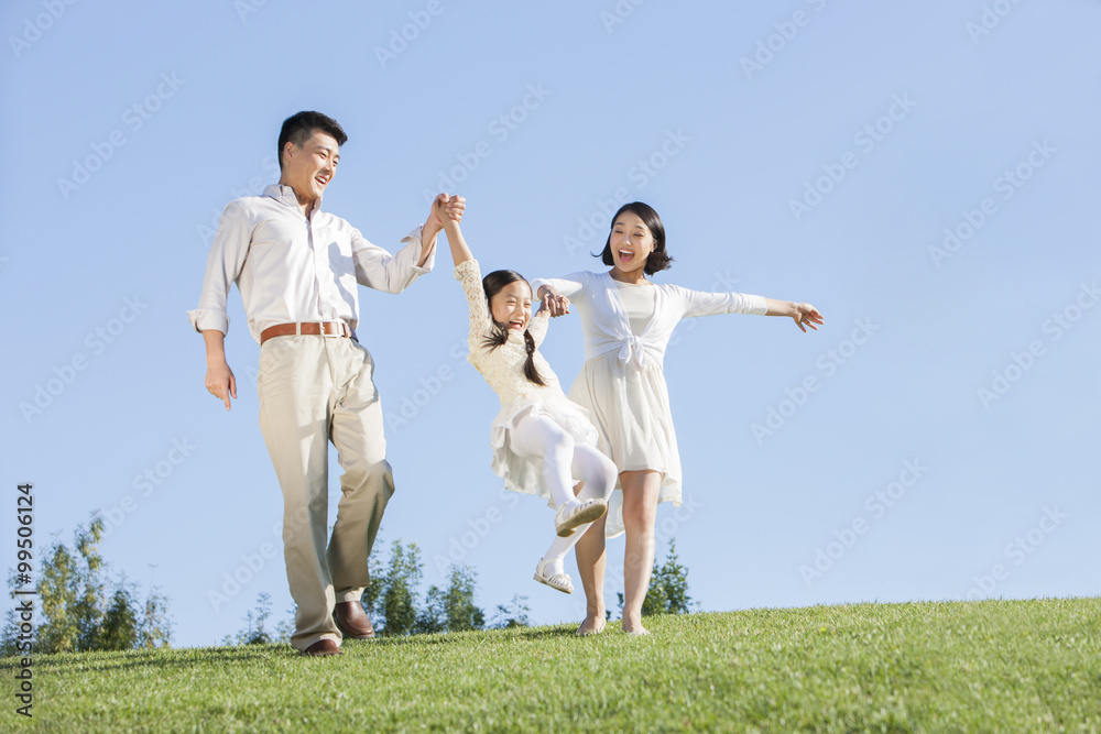 Young family playing excitedly in a park