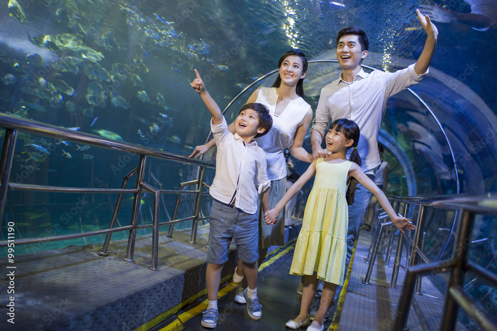 水族馆里的年轻家庭