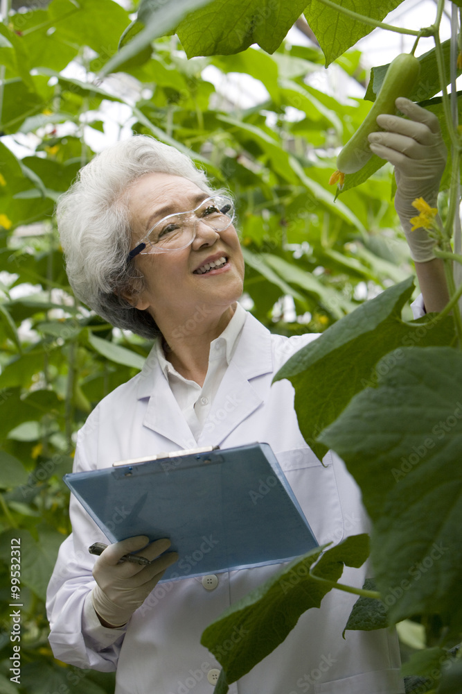 Scientists doing research in modern farm