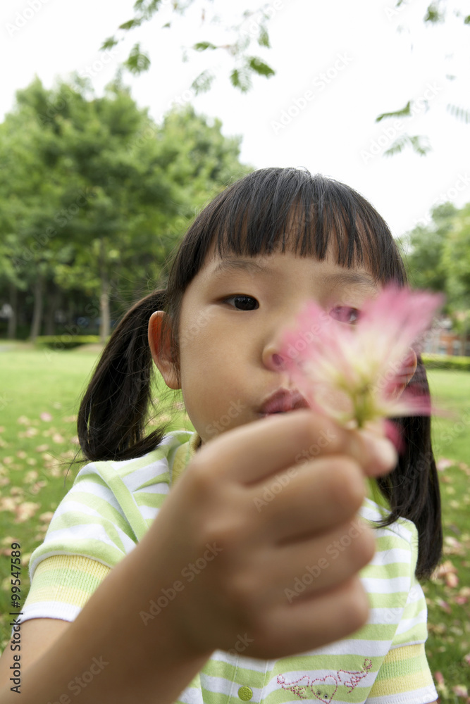 Young Child Blowing On A Flower In The Park