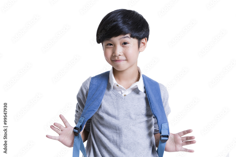 Portrait of cute schoolboy