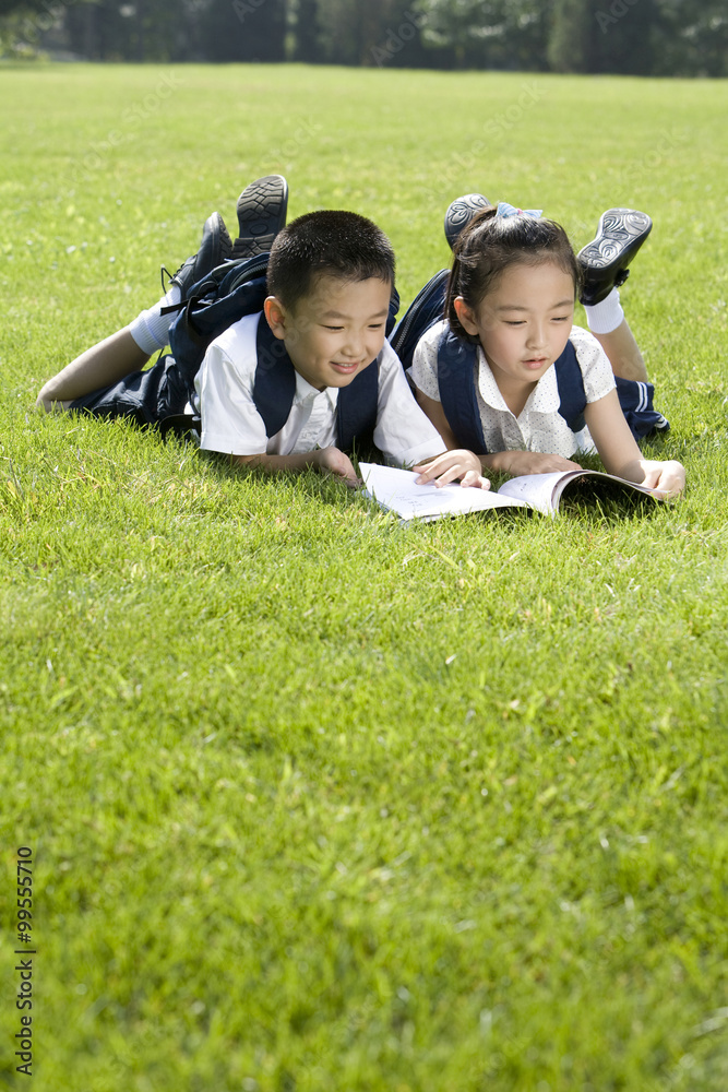 小学生在草地上读书