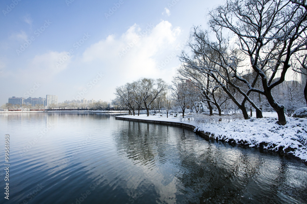 美丽的湖面上白雪皑皑的树木