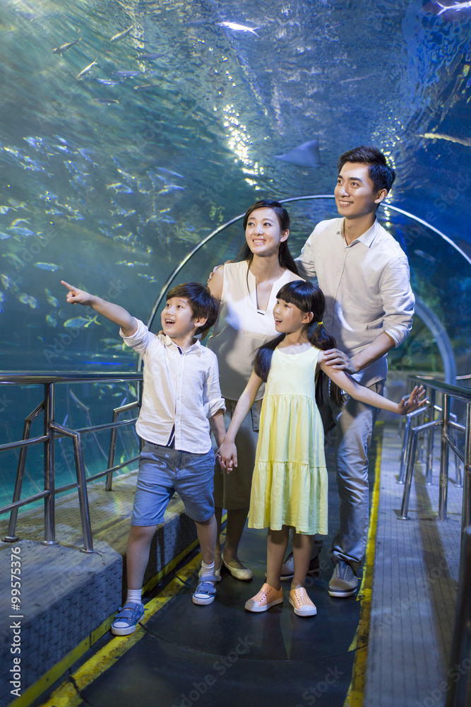 水族馆里的年轻家庭