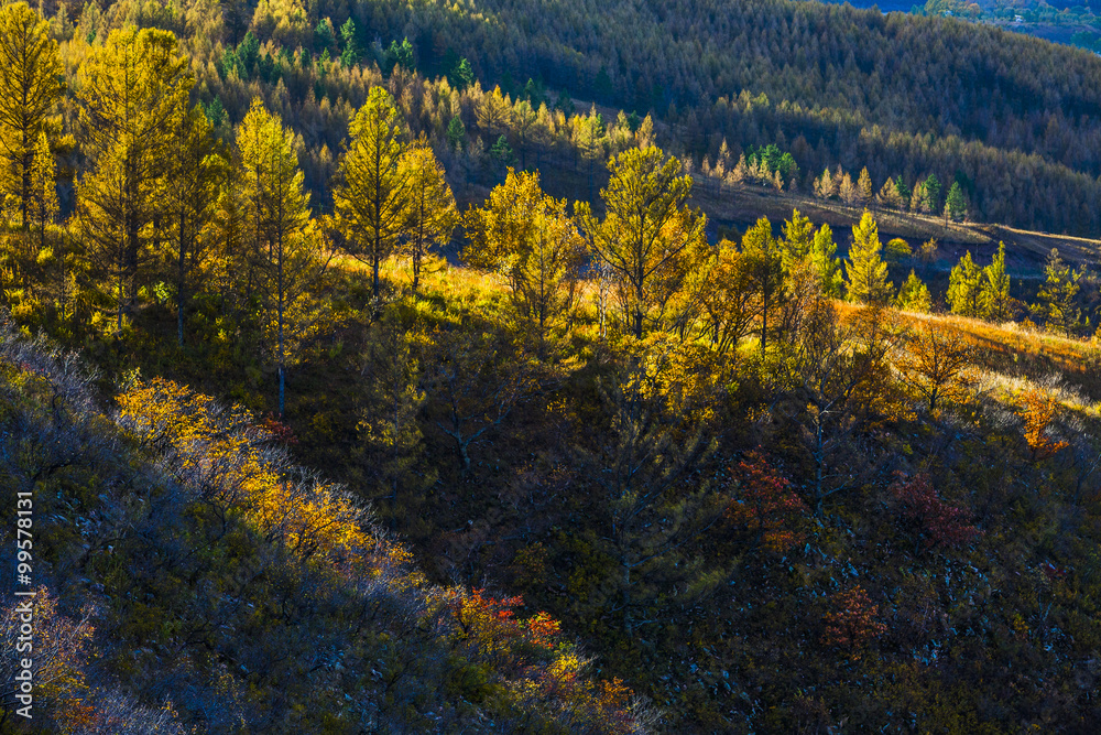 Natural Scenery of Aershan,China