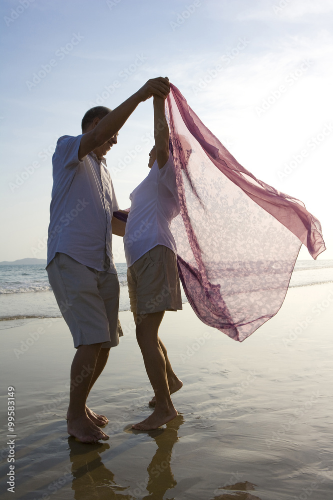 Senior couple dancing on the beach