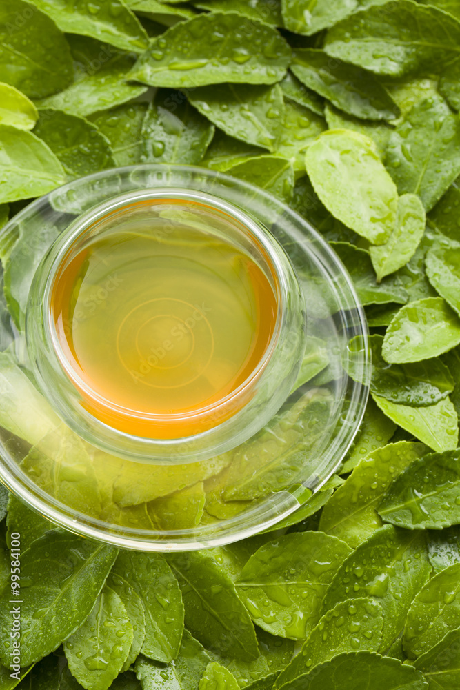 A cup of tea on green leaves