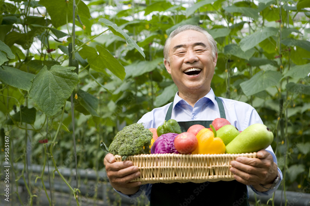 Farmer holding vegetables in modern farm