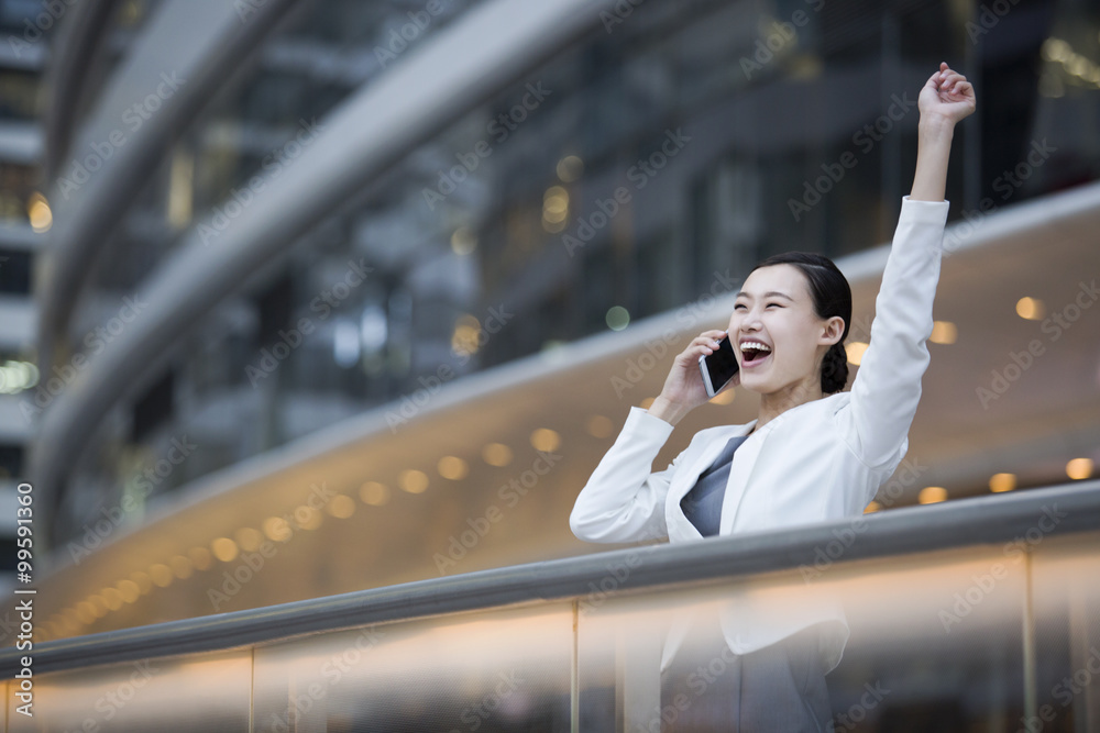 Businesswoman talking on the phone