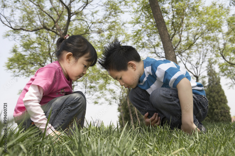 Children Playing Together In The Park