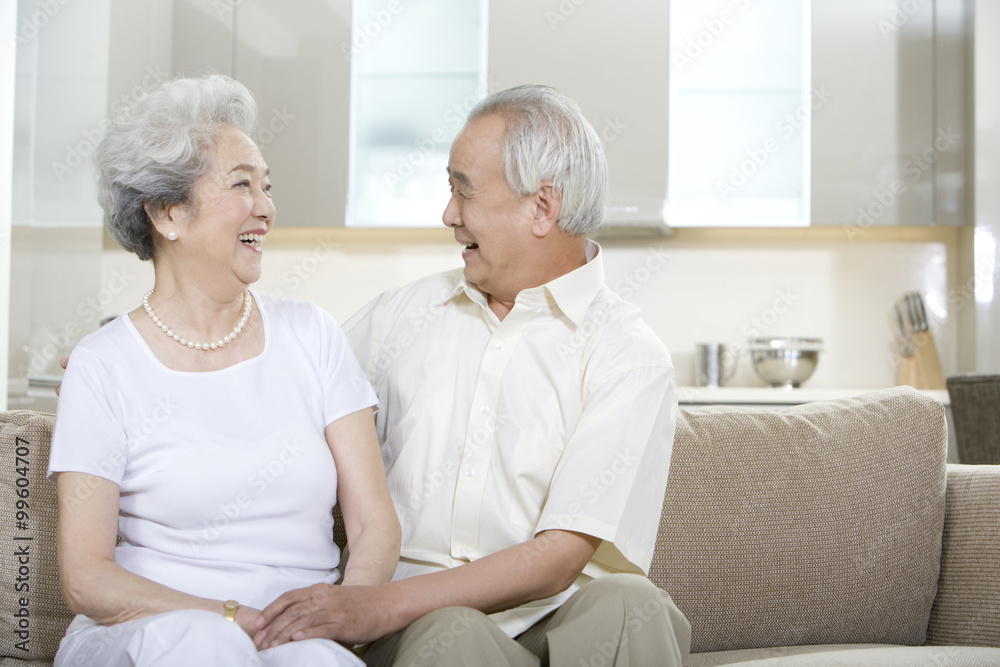 Portrait of a senior couple at home