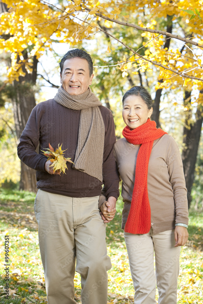 老年夫妇秋天在公园散步