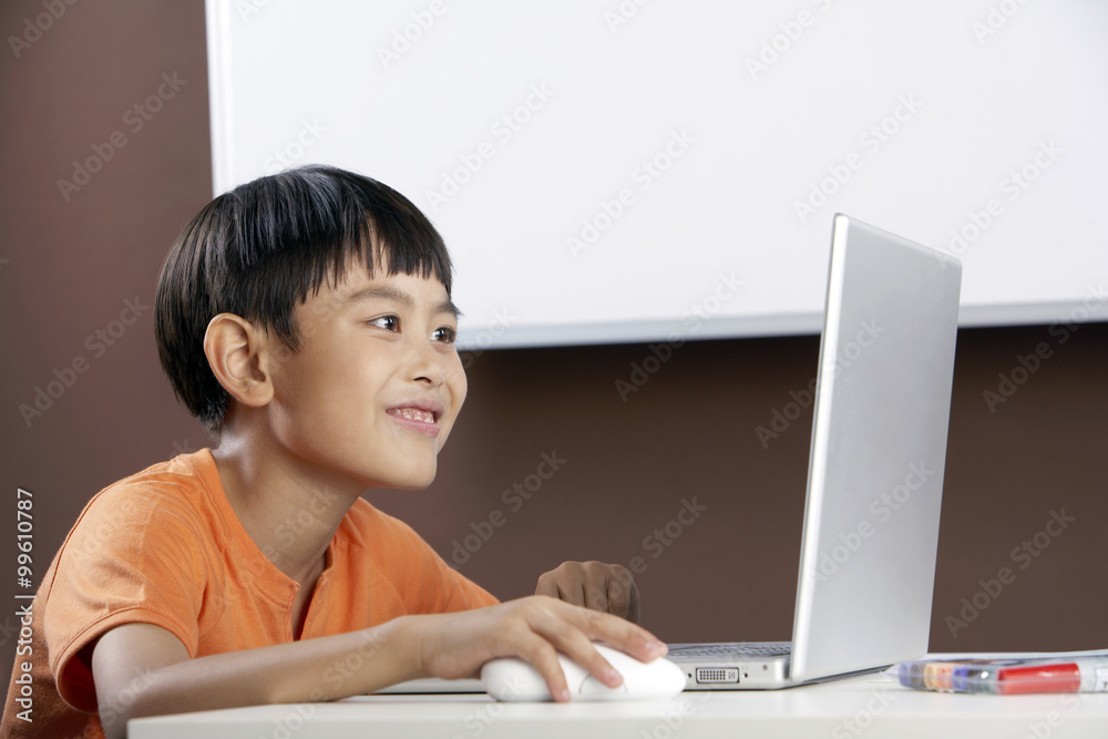 Young Boy Using Laptop Computer