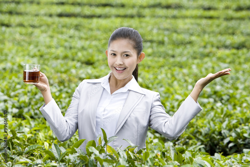 新鲜冲泡的茶界年轻女商人